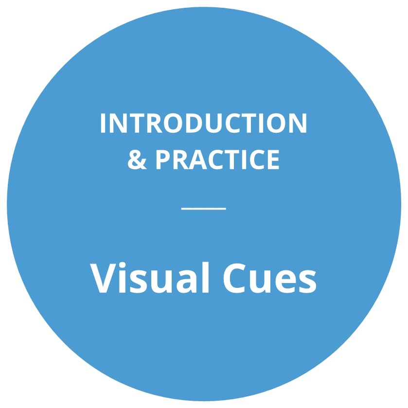Introduction and practice: Visual Cues