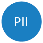 PMII logo